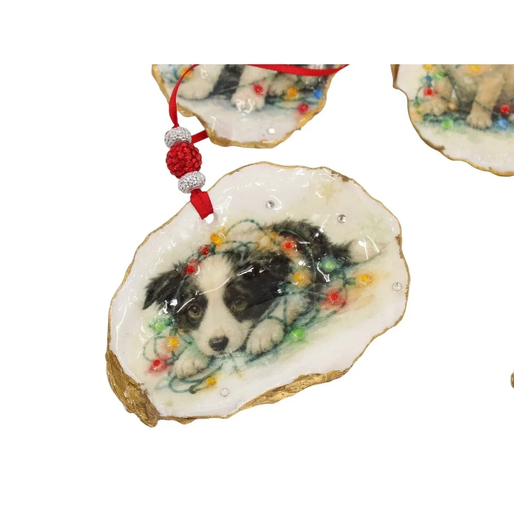 Unbranded handcrafted oyster